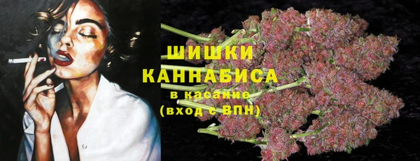 молекула духа Киренск