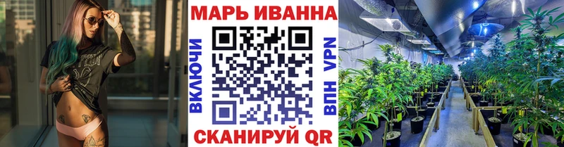 Конопля конопля Губаха